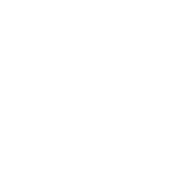 program